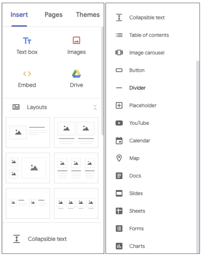 insert panel options in google sites